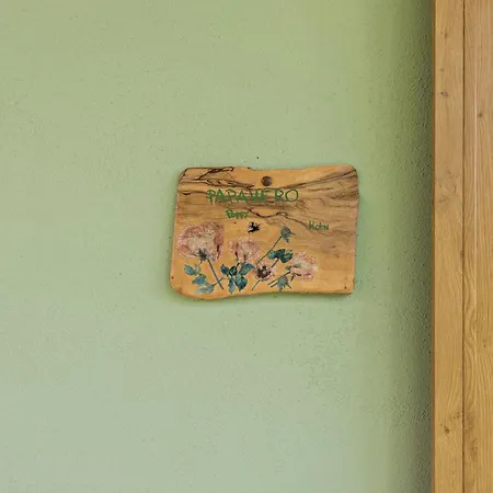 Nonno Bigi Papavero Apartamento